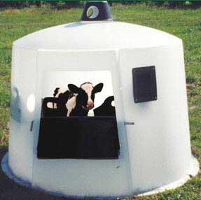 Mini-Dome Calf Nursery